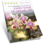 Orchid Care Guide - A free guide from Just Add Ice Orchids